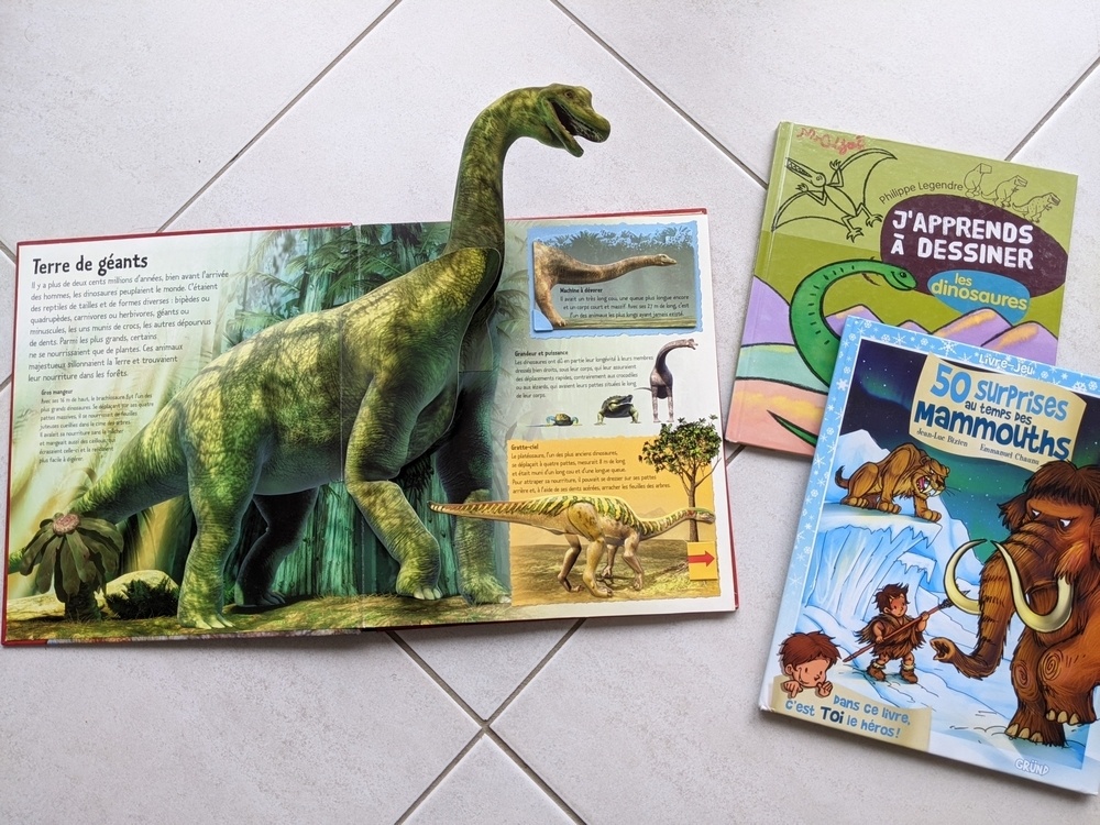 Les enfants apprécient les livres 3D animés et ceux où ils construisent l'histoire.